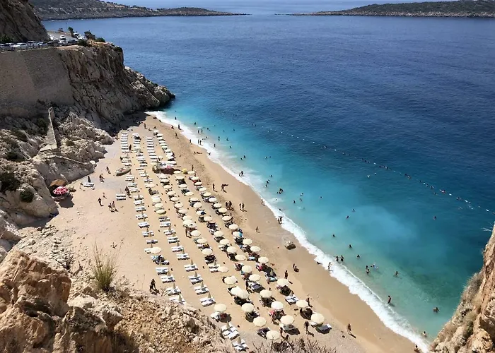 Ali Baba Apart * كاس